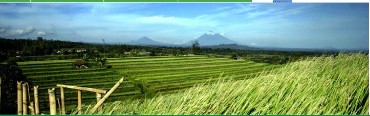 Hindustan Insecticides Limited